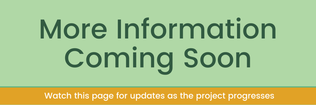 option-2-1 option-2-1